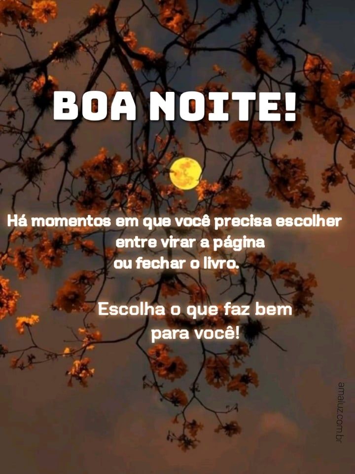 Boa noite tenha sonhos maravilhosos.