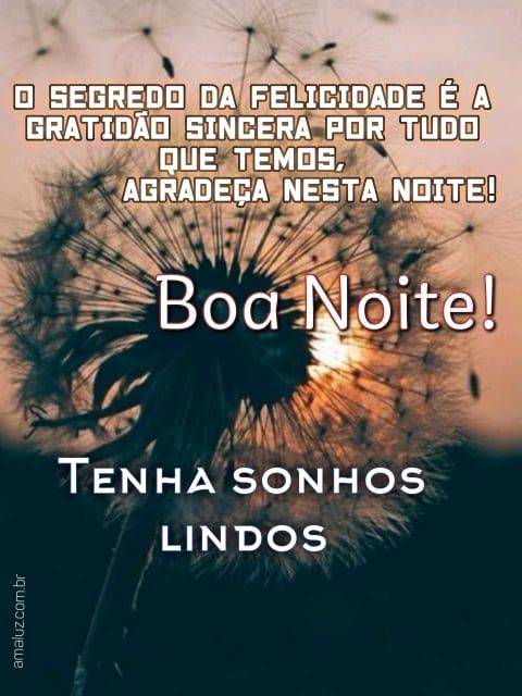 Boa noite e bom descanso.