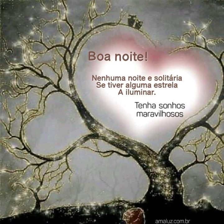 Boa noite tenha sonhos maravilhosos.