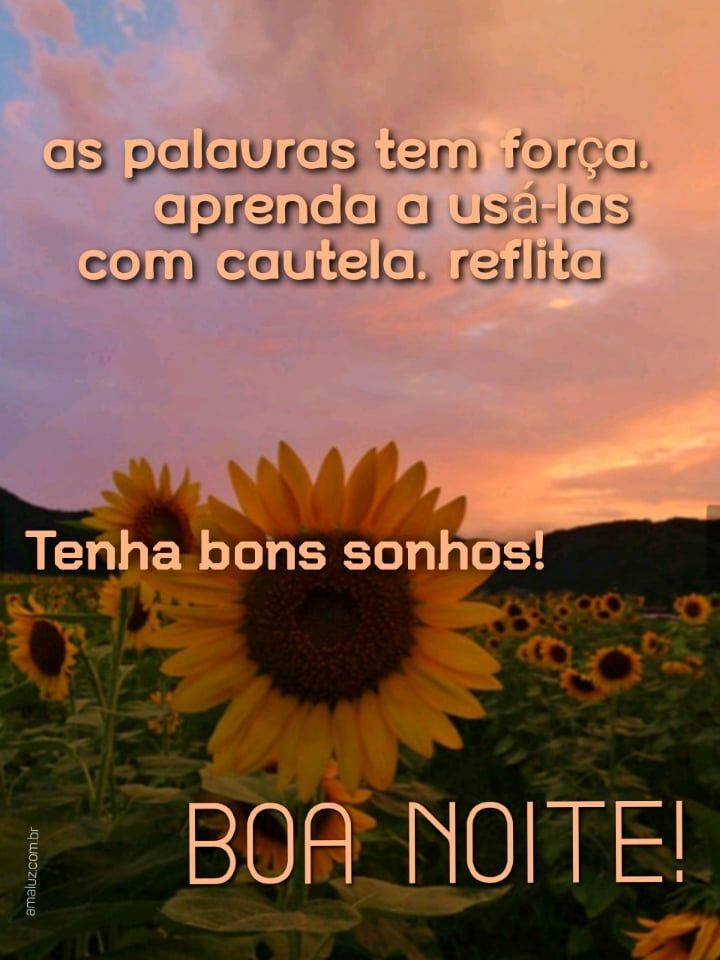 Boa noite, usai as palavras com sabedoria!