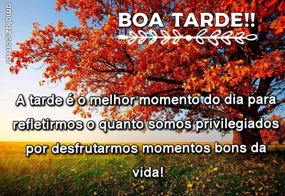 boa tarde com motivação