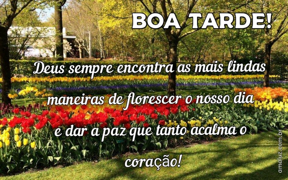 boa tarde com paz e amor para o seu coração