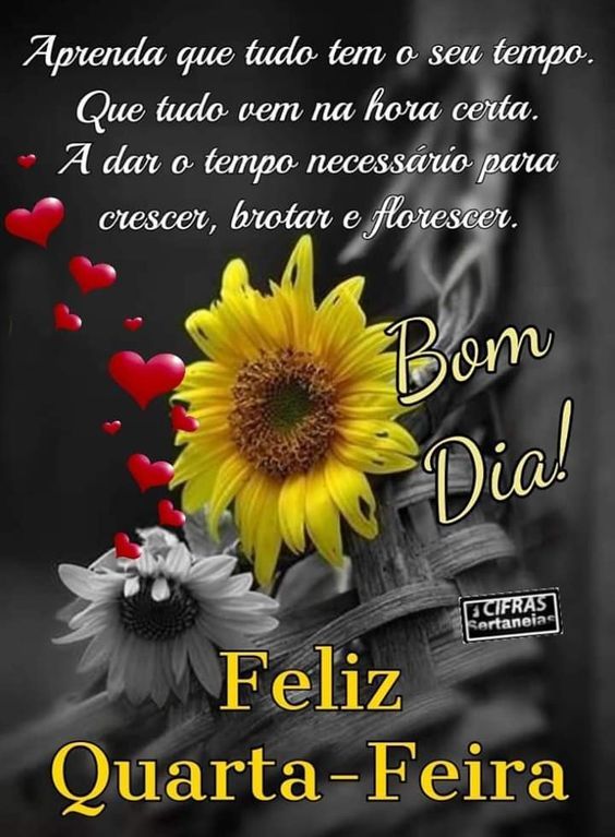 bom dia com flores e quarta feliz