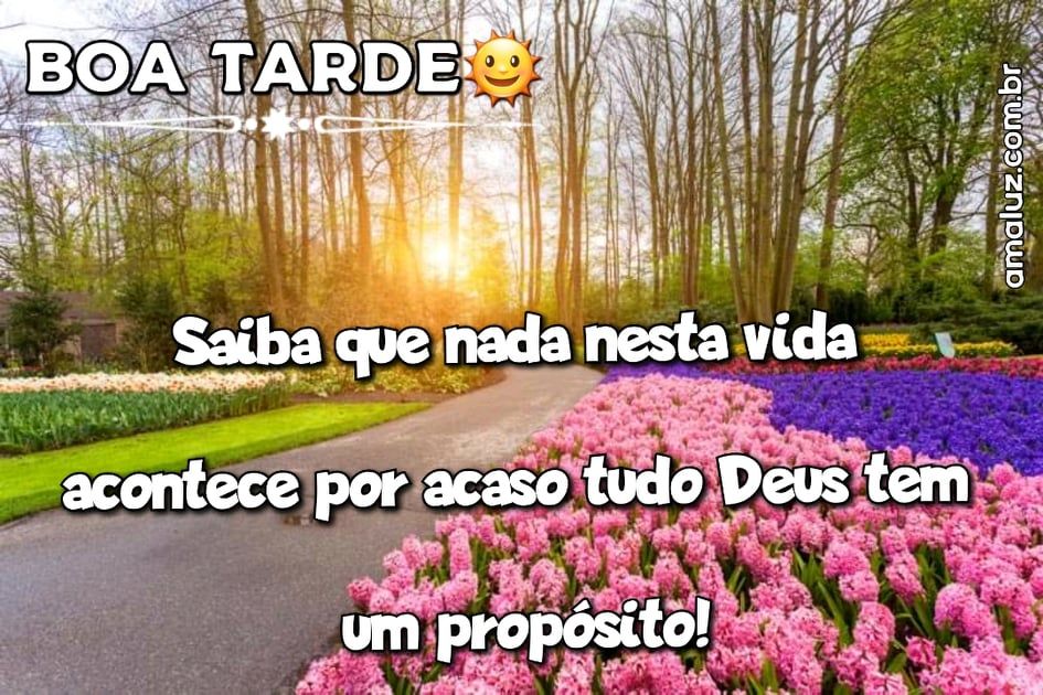 com carinho boa tarde para whatsapp