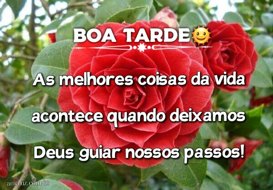 imagem para compartilha de boa tarde