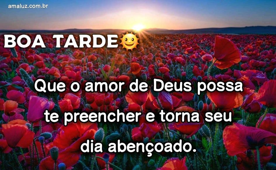 mensagem de boa tarde abençoada para compartilha