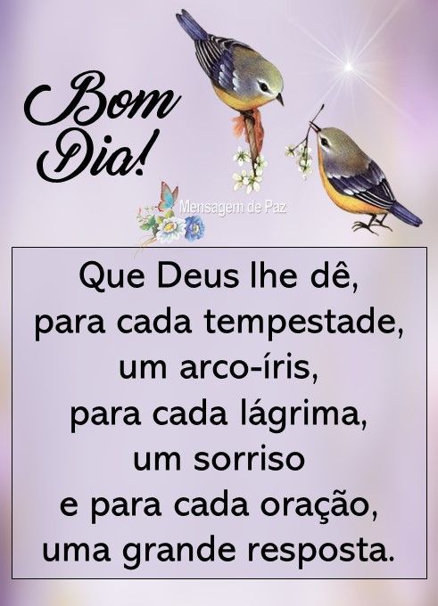 para tempestade um arco-íris para lágrima um sorriso bom dia