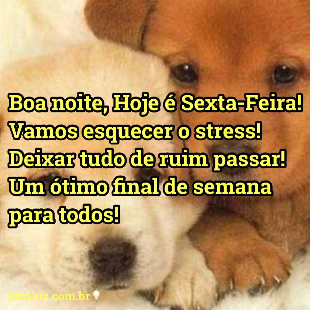 boa noite amigos do grupo feliz sexta feira