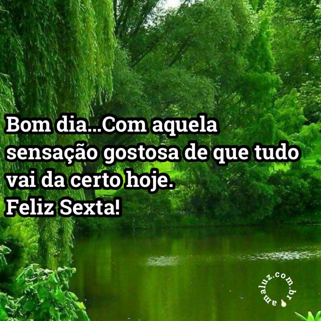 Bom dia com aquela sensação gostosa de que tudo vai dar certo hoje!