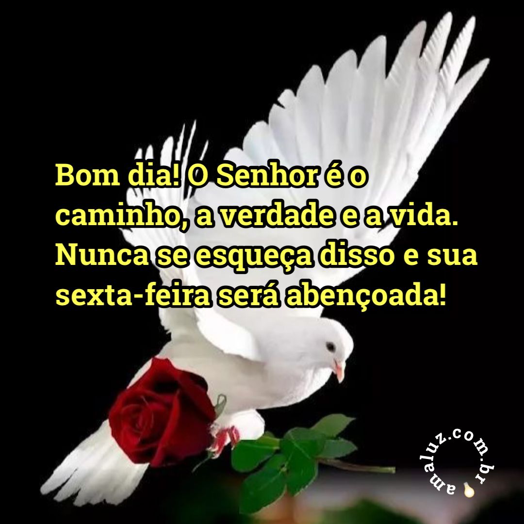 O senhor é o caminho a verdade e a vida! Não se esqueça disso!