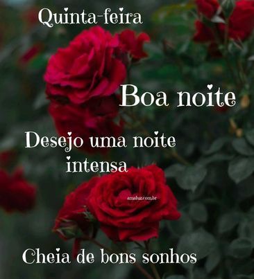 Boa noite desejo uma noite linda