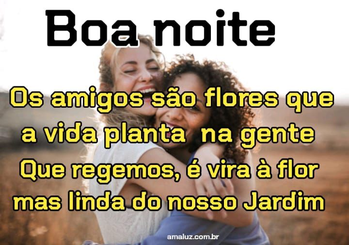 Boa noite os amigos são flores na vida da gente que regamos para crescer e ficar linda,