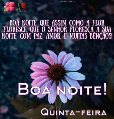 Boa noite tenha uma noite cheia de paz e benção