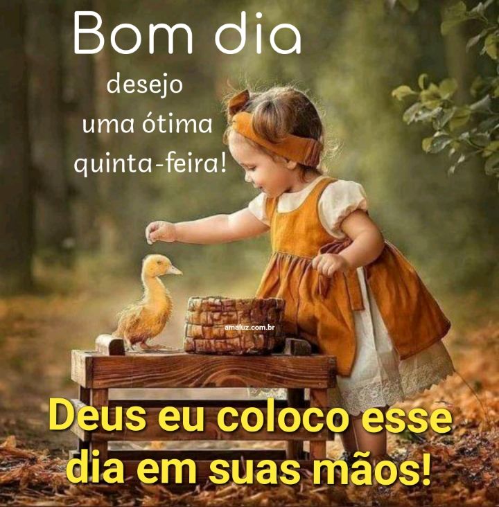 Bom dia Deus coloco esse dia em suas mãos 