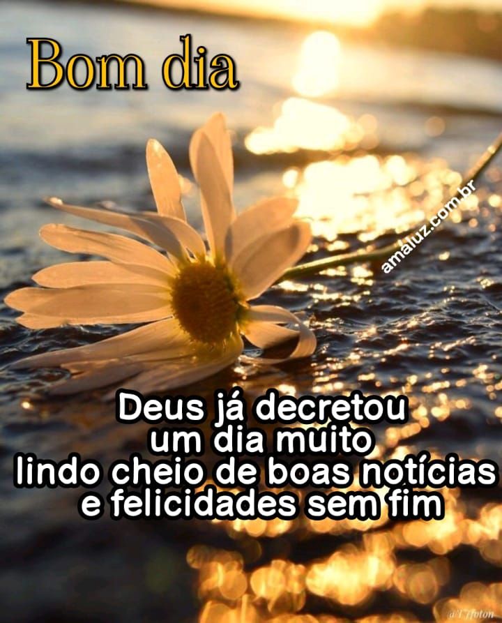 Bom dia Deus já decretou um dia cheio de boas noticias e felicidades