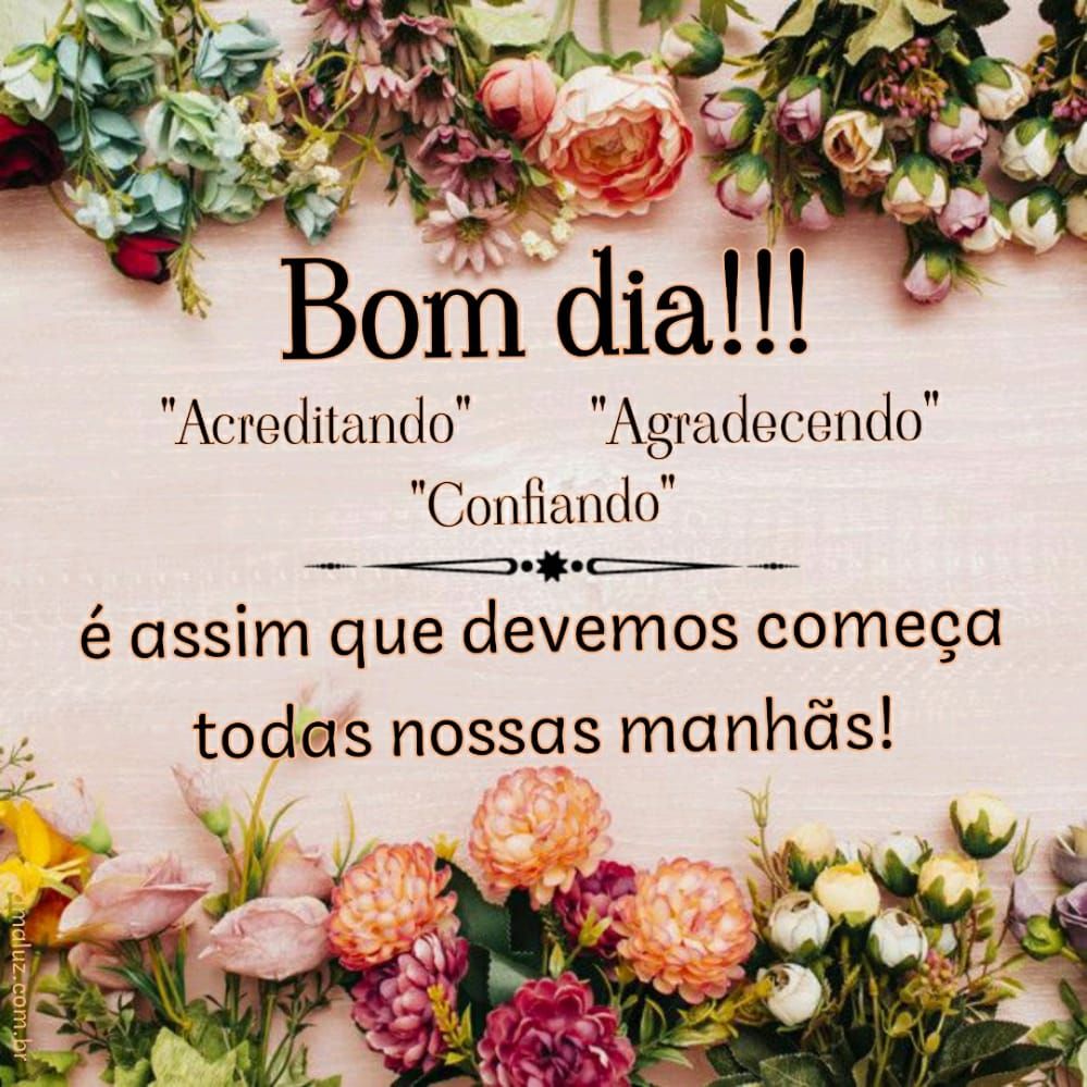 30 Imagens de Bom dia com Belas Frases para Inspiração