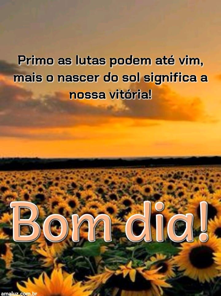 Bom dia as lutas vem para nos capacitar