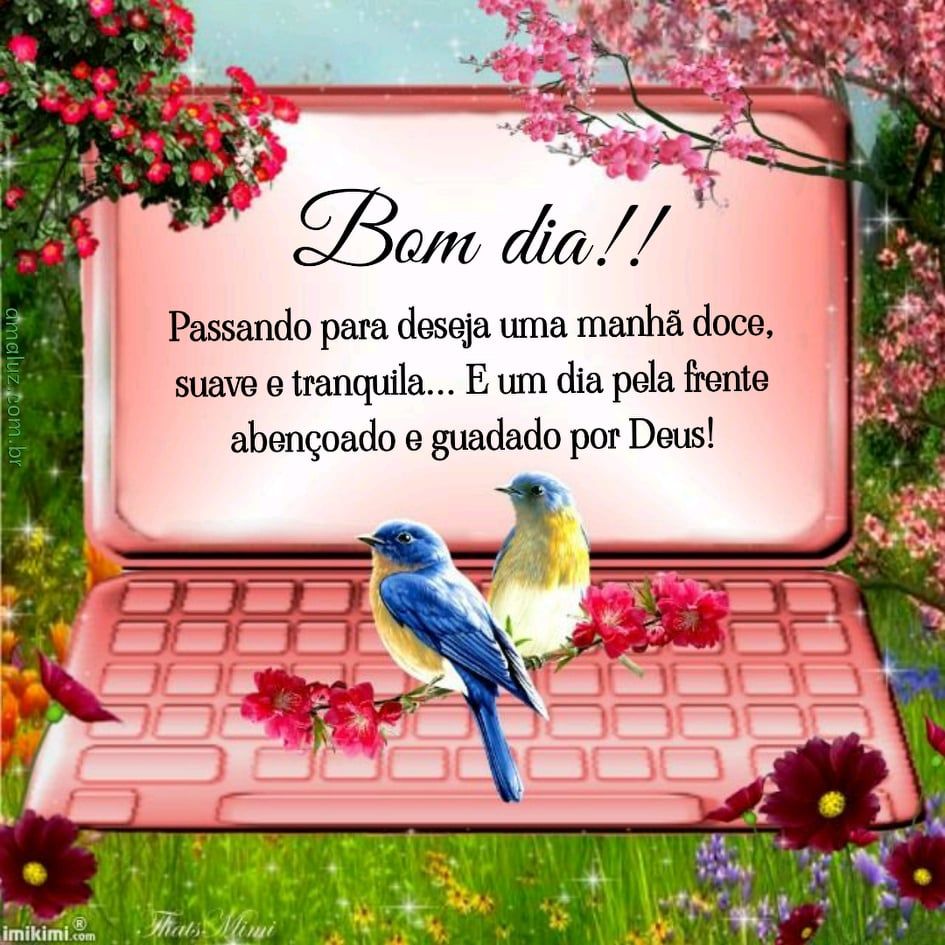 Bom dia com amor e alegria para todo dia