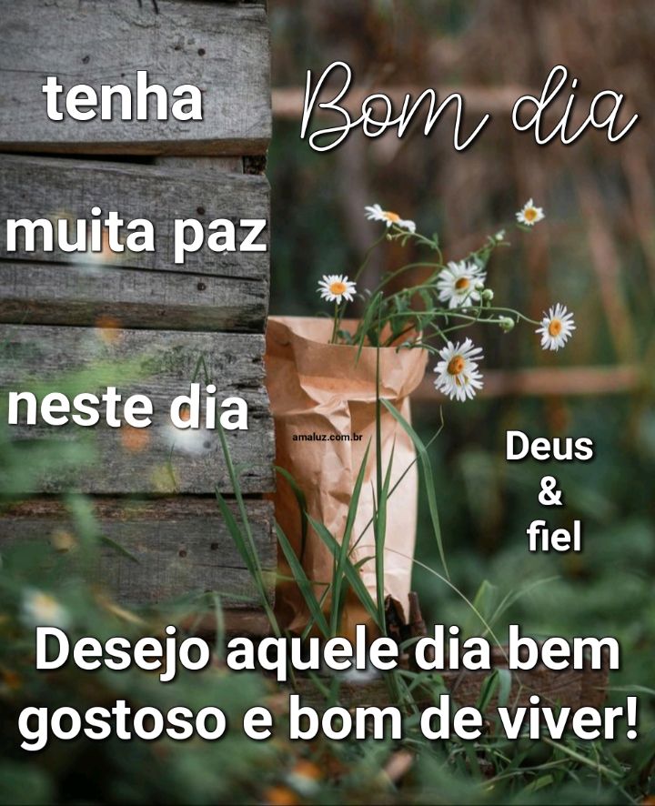 Bom dia desejo um dia gostoso de viver