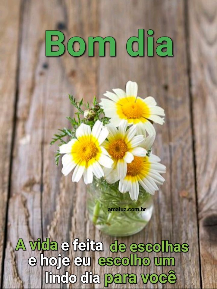 Bom dia desejo um lindo dia