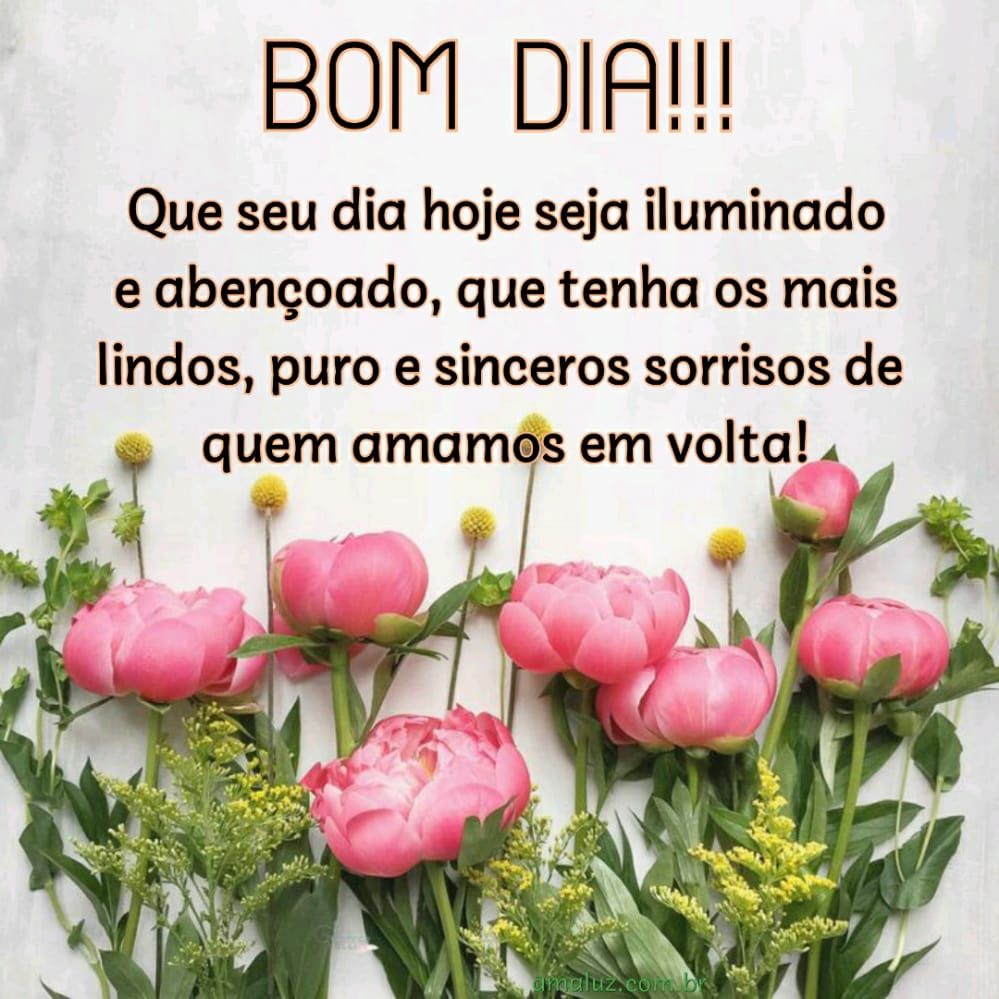 70 Mensagens de Bom dia 2022 para Whatsapp com Belas Imagens 70 Mensagens de Bom dia 2022 para Whatsapp com Belas Imagens
