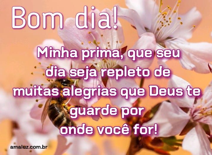 Bom dia minha prima que seu dia seja repleto de muitas alegrias