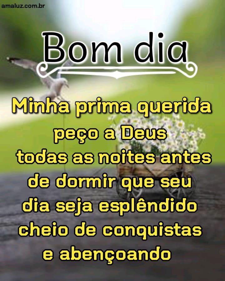 Bom dia minha prima querida que seu dia seja esplêndido.