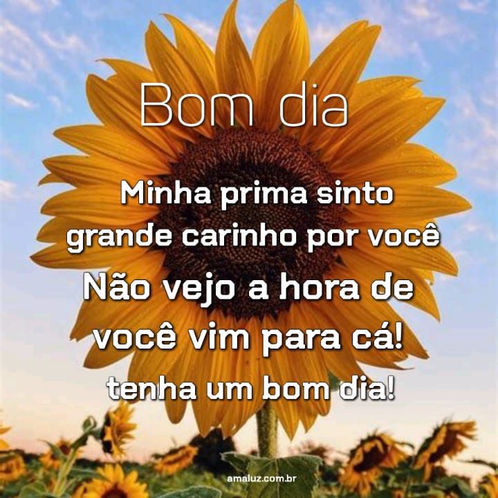 Bom dia minha prima sinto grande carinho por você