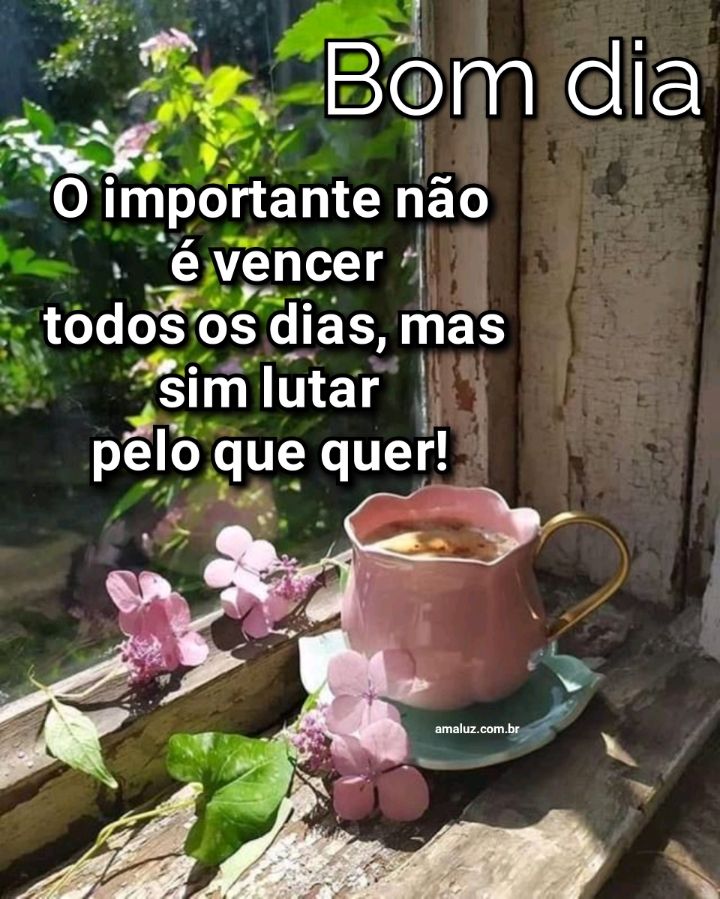 Bom dia o importante é lutar