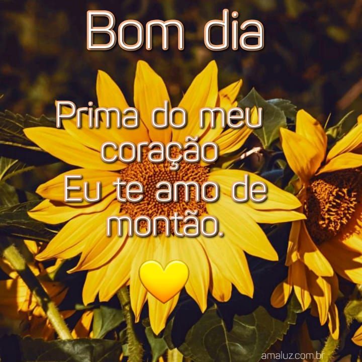 Bom dia prima do meu coração