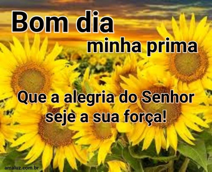 Bom dia que alegria do senhor seja sua força