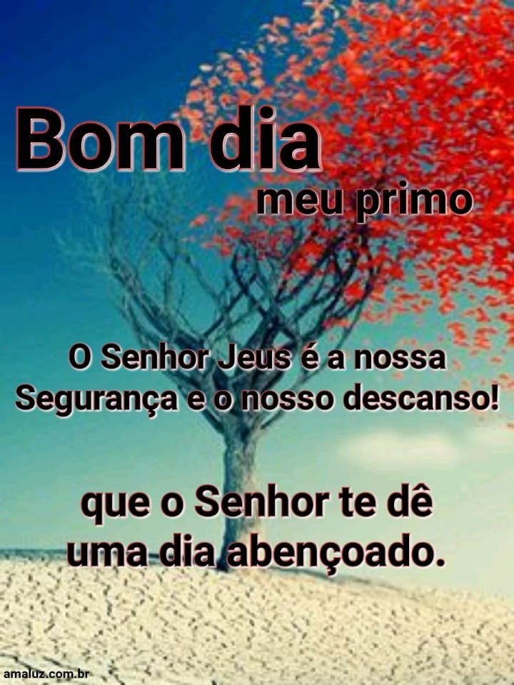 Bom dia que o senhor jesus te dê um dia abençoado