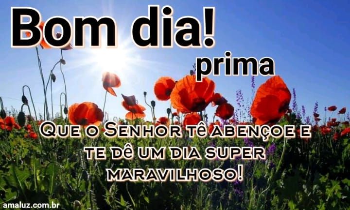 Bom dia que o senhor te abençoe e te dê um dia maravilhoso