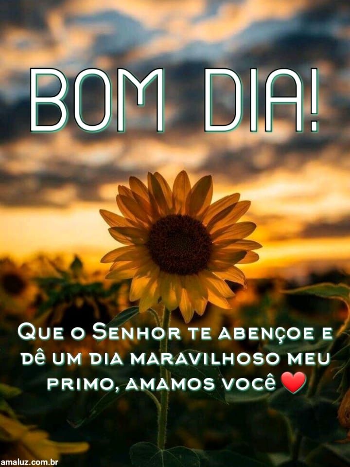40 Frases de Bom dia para Primos com Belas Imagens 40 Frases de Bom dia para Primos com Belas Imagens