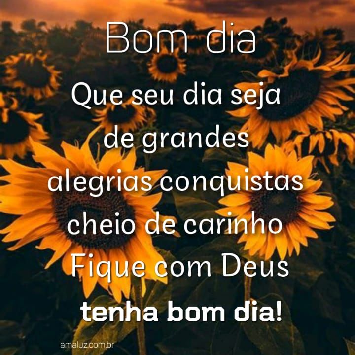 Bom dia que seu dia seja de grandes alegrias e conquistas