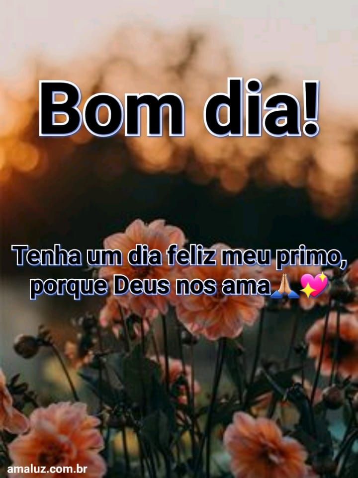 Bom dia tenha um dia feliz meu primo