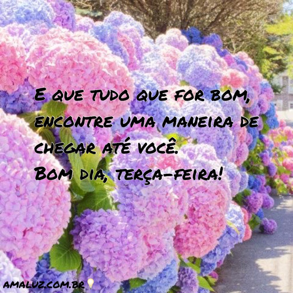 Bom dia terça feira com tudo de bom