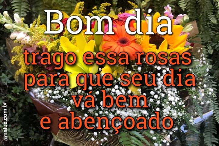Bom dia trago rosas para o seu dia
