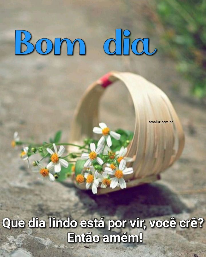 Bom dia um lindo dia está por vir