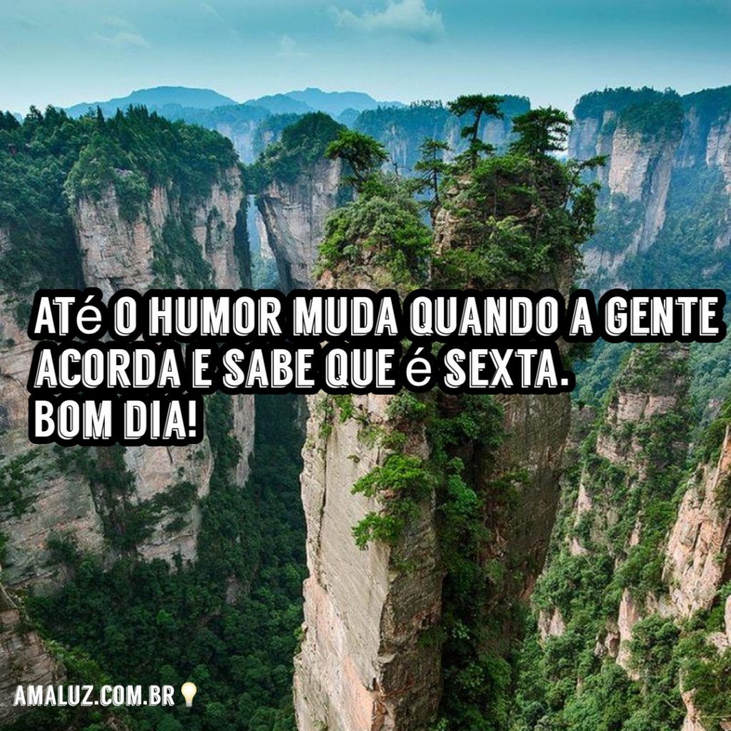 acorda e saber que é sexta feira bom dia