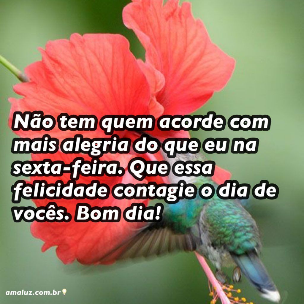 alegri para esta sexta feira bom dia