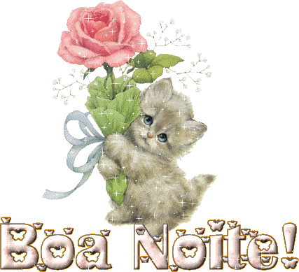 boa noite com gifs de gatinho