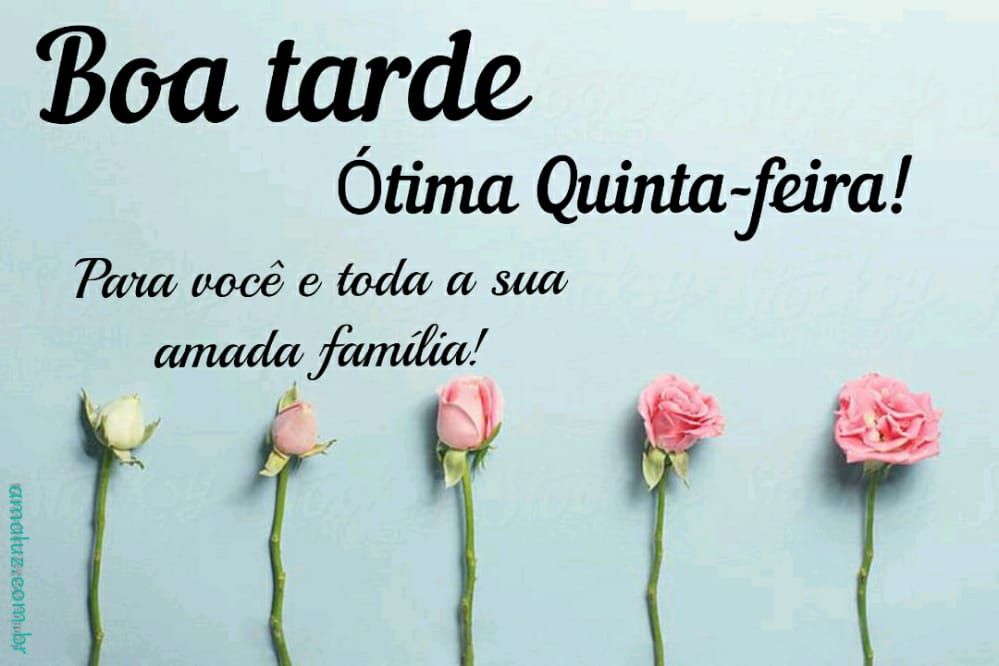 boa tarde ótima quinta feira para você e sua família