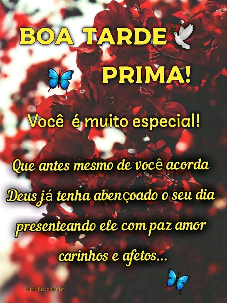 boa tarde prima você é muito especial