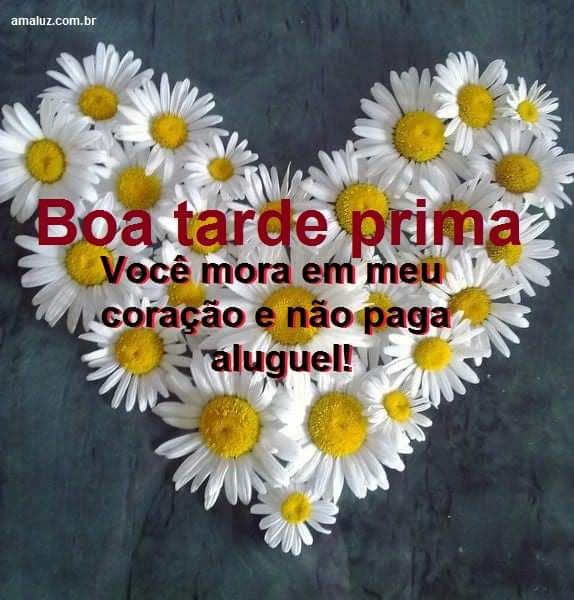 boa tarde prima você mora em meu coração