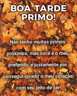 boa tarde primo que invadiu meu coração