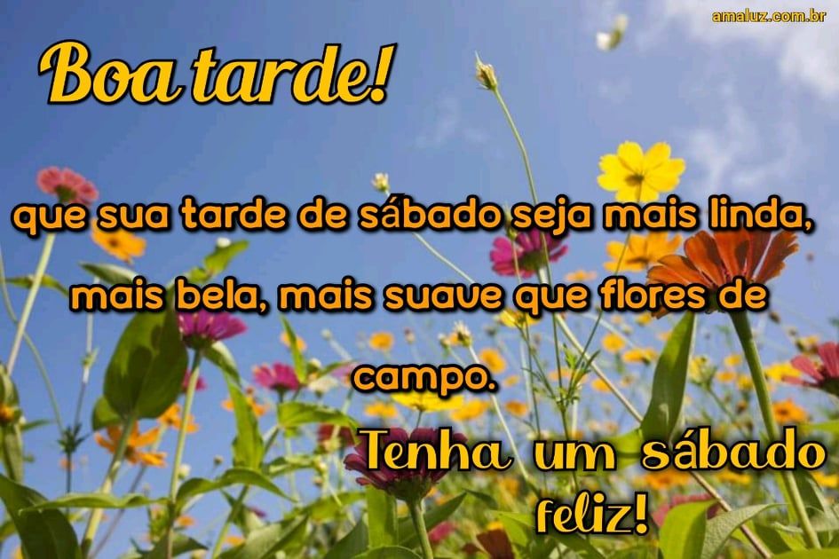 boa tarde tenha um sábado feliz
