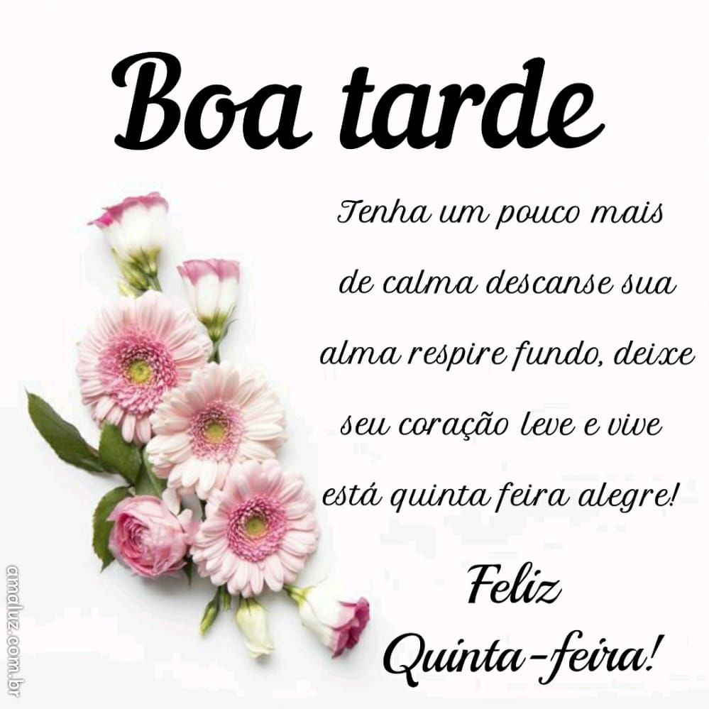 boa tarde vive esta quinta feira alegre