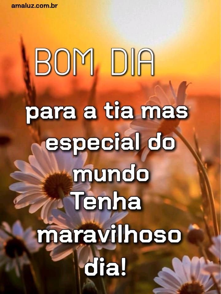 30 Imagens de Bom dia para Tia Amada com Mensagens fofuchas 30 Imagens de Bom dia para Tia Amada com Mensagens fofuchas