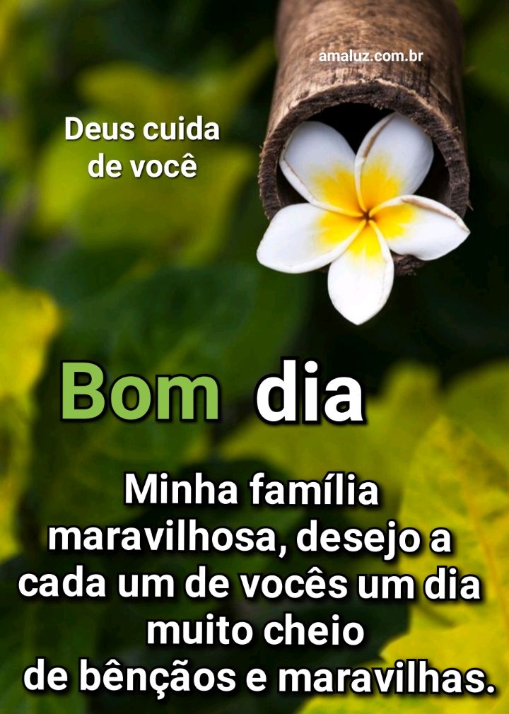 Bom dia família